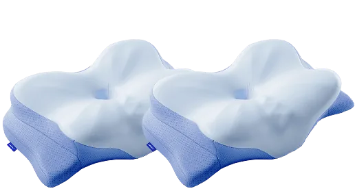 2 Derila Ergo pillows
